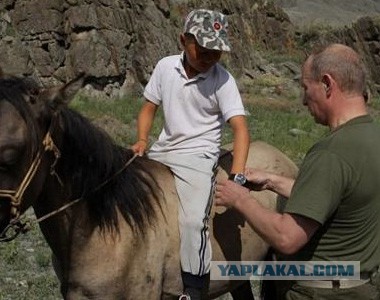 Как устроились дети чиновников