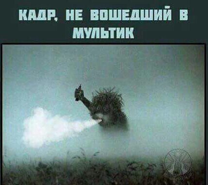 Подборка интересных и веселых картинок