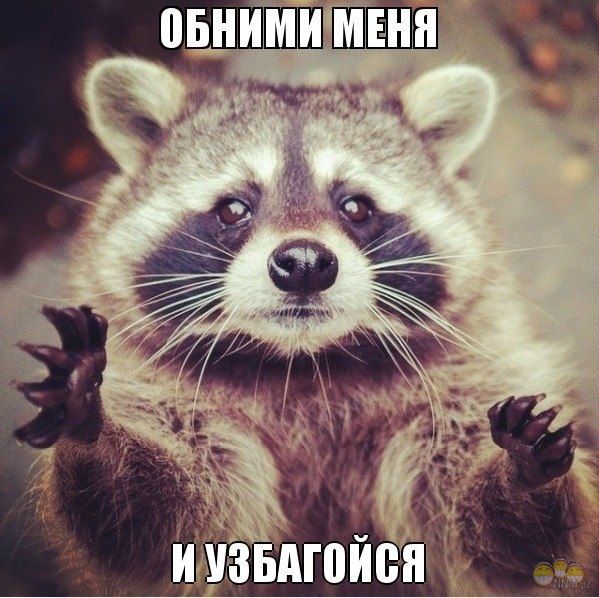 Wargaming 49