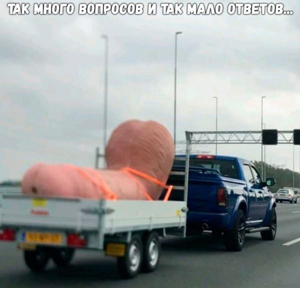 Допрыгались