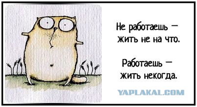 Будний день программиста в Калифорнии