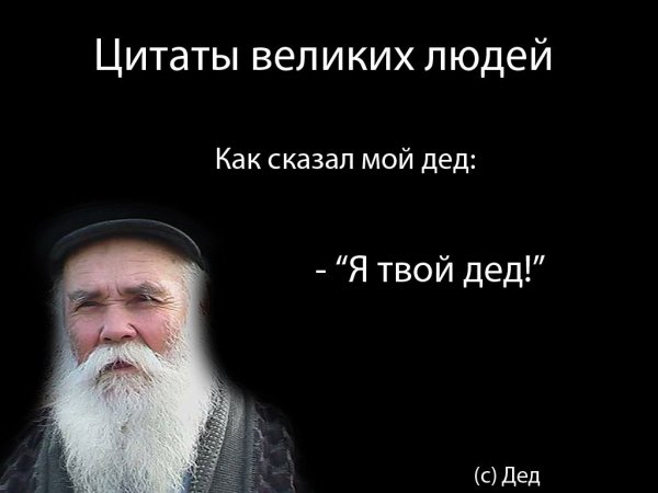 Уморительные цитаты из сериала «Ликвидация»