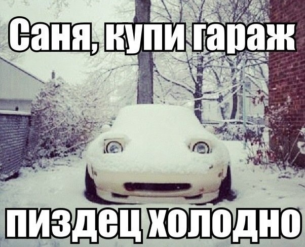 Котовторник 12.12.2017