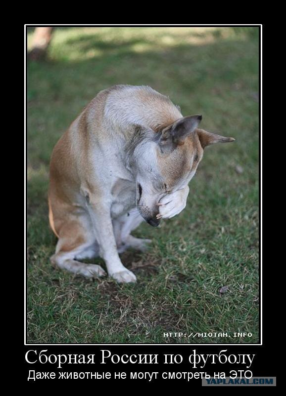 В сердце вновь сидит занозой эта сборная колхоза..