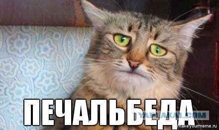 В Госдуме потребовали от Facebook восстановить аккаунты главы Чечни