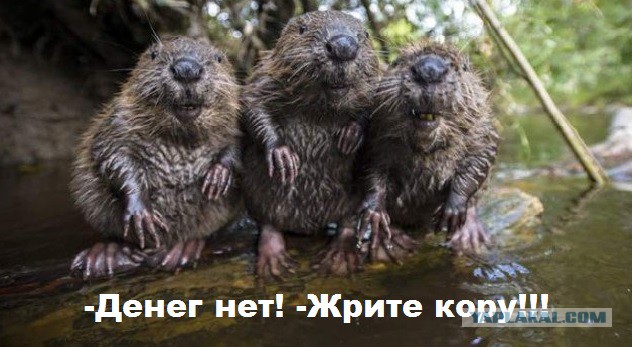 Мифы "про еду которой нас травят"