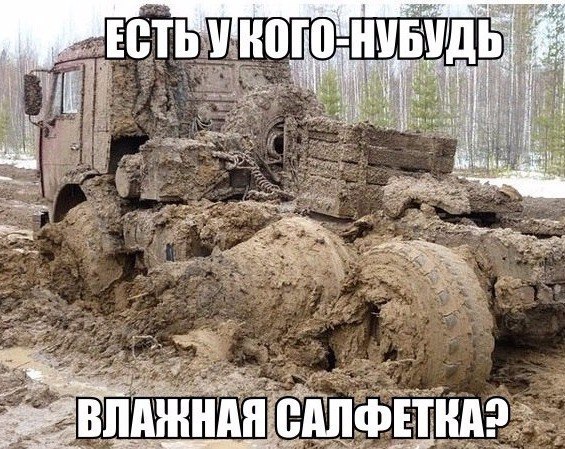 Фото с безуминкой, из-за которых ваш датчик абсурдности даст сбой