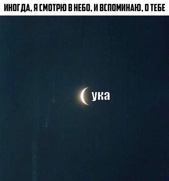 Не очень адекватный юмор
