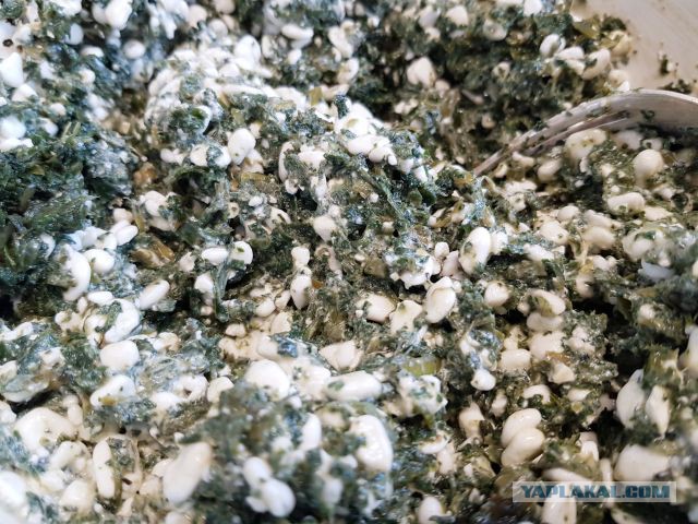 Кулинары поздравляют ЯП с днём рождения!