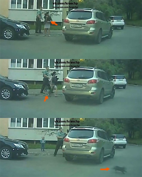 В Красноярском крае военный избил мужчину и его мать из-за спора на парковке