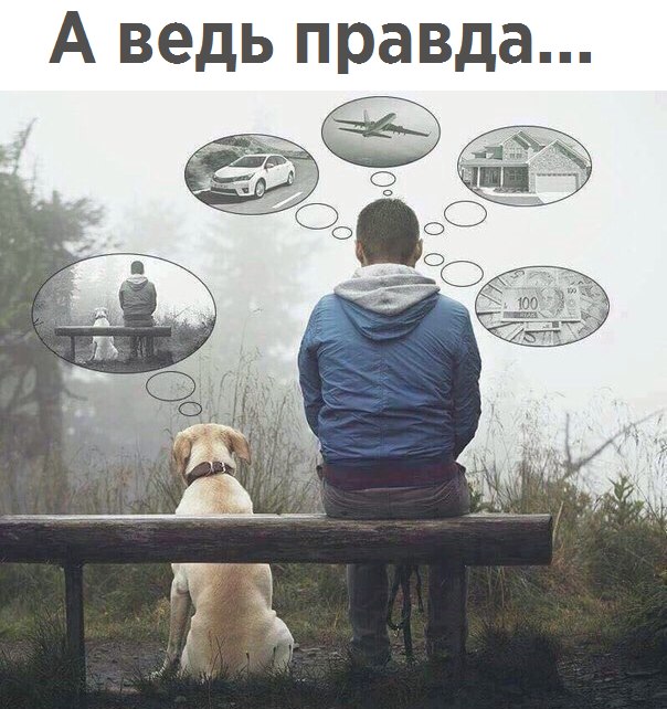 Немного интересных и добрых картинок на вечер