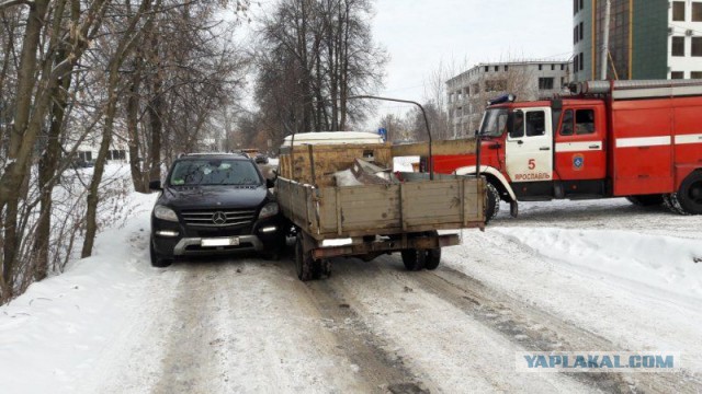 Воспитание имбецила