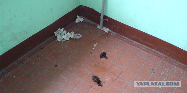 Свадьба в Сайлент Хилл. Как украшают на свадьбу убитые подъезды многоэтажек