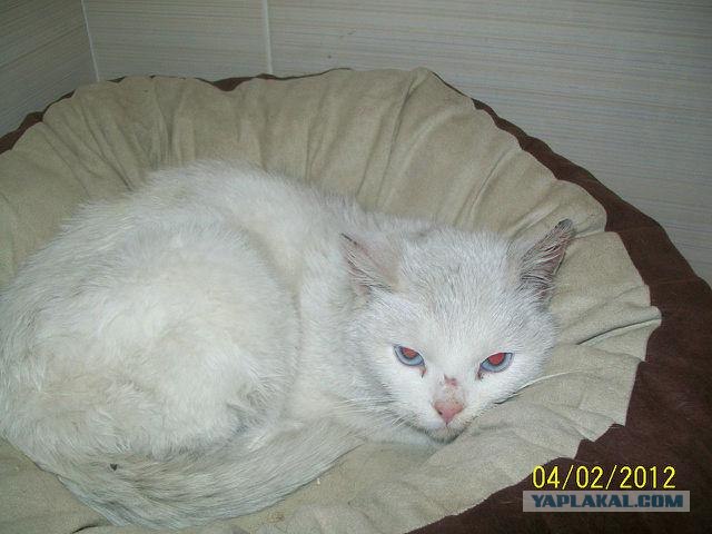 Из России в Германию