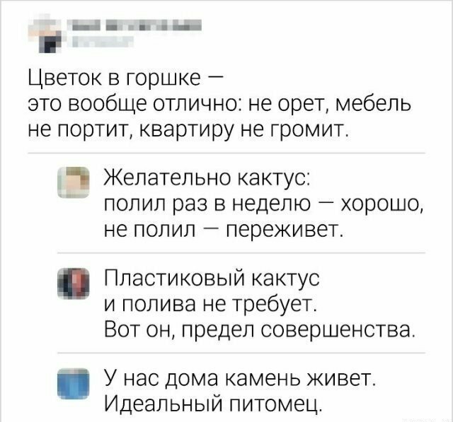 Немного картинок для настроения