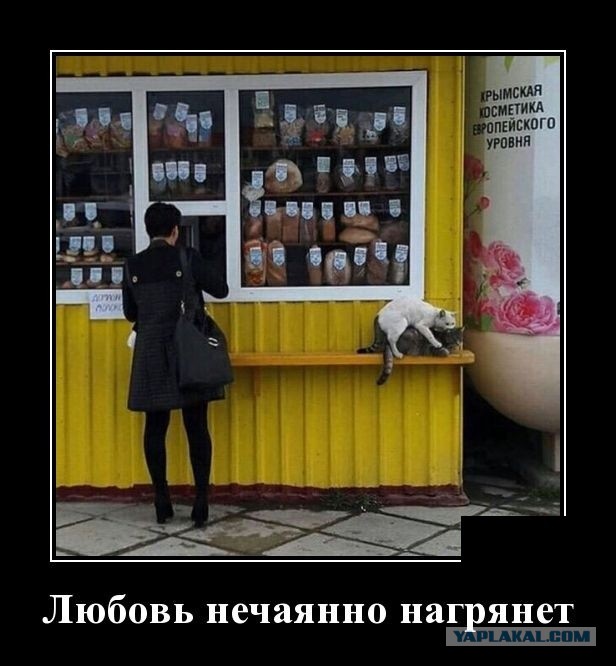 103 картинки для поднятия настроения!