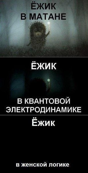 Применим физику в постели или белка и стрелка. Картинки