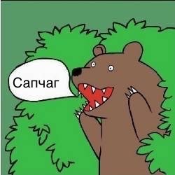 Из ЗАГСа в катафалк или "новая лошадиная свадьба"