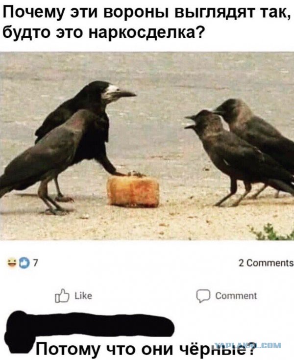 Нестандартный юмор