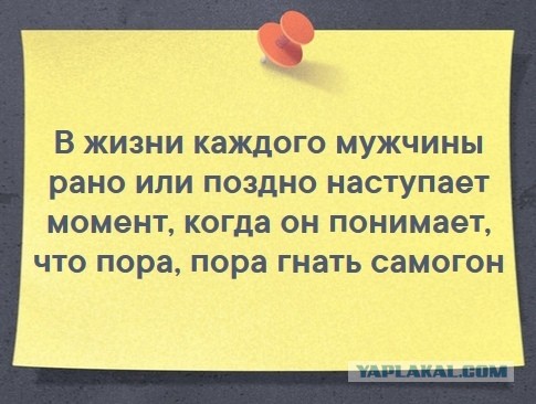 Чуток картинок 07.02.20.