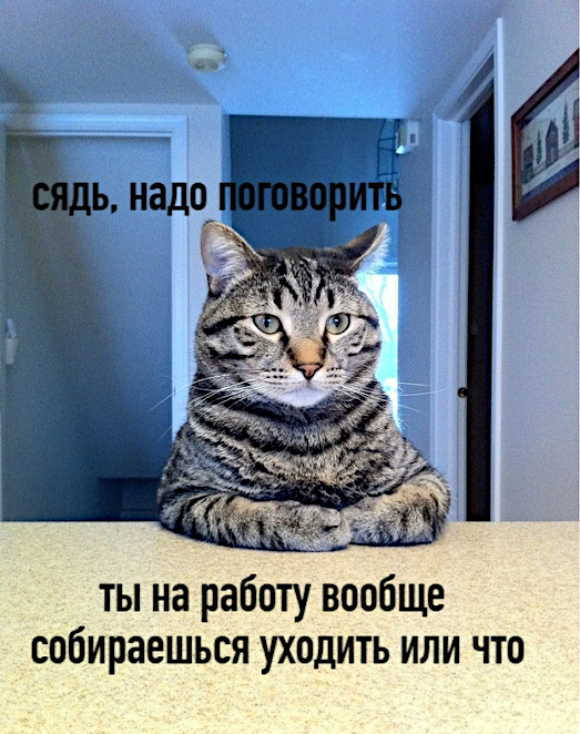 Бредзона 18.04.20