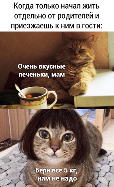 Немного картинок для настроения 15.05.20