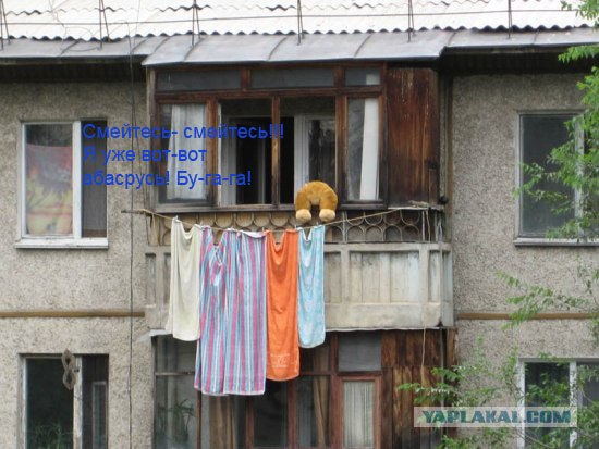 Конкурс: подпись к картинке