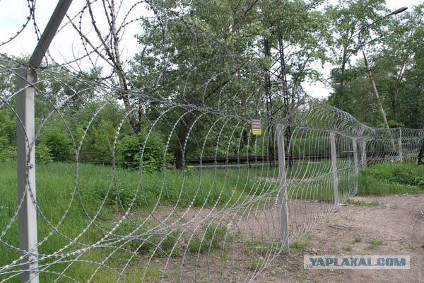 "У нас не Европа!" - почему россияне выбирают высоченные заборы и смеются над живой изгородью