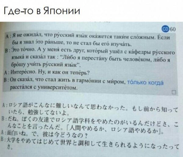 Прикольные и просто красивые картинки 02.10.2020