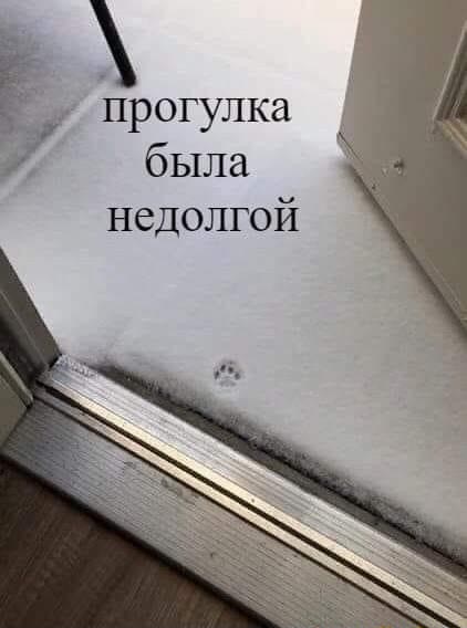 Бредзона 08.12.2020