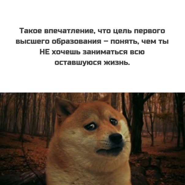 Картинки и мемы для настроения