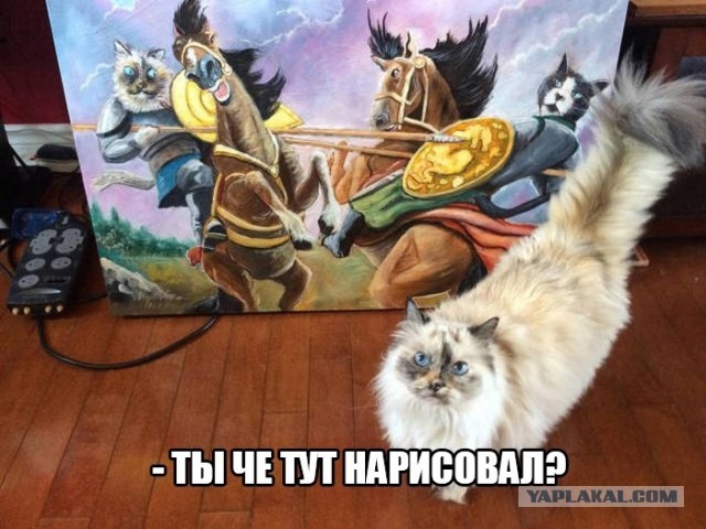 Так себе картинки 19.04.21