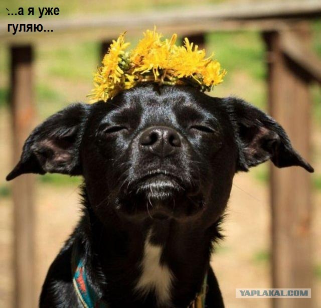 Перемена настроения