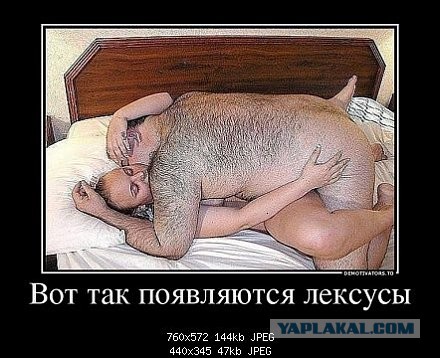 Мужчины с бородой - зачем?