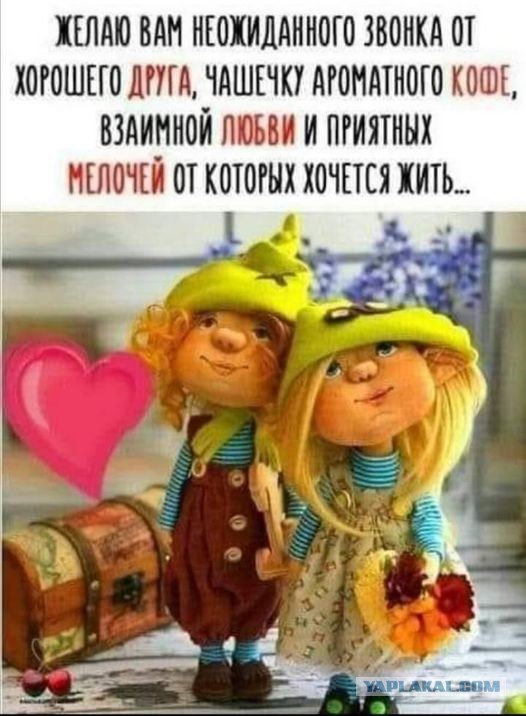 Жизнь трезвого холостяка