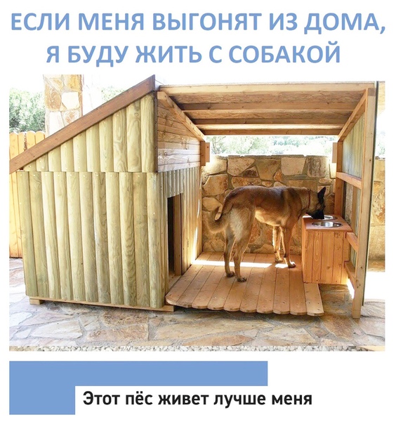 Картинки и мемы для настроения 09.06.2021