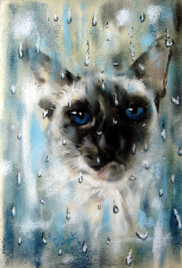 Котовторник