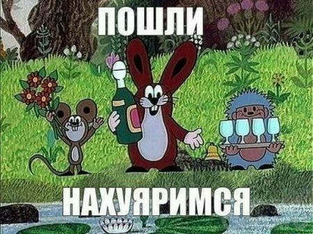 Алкопост 26.11.21