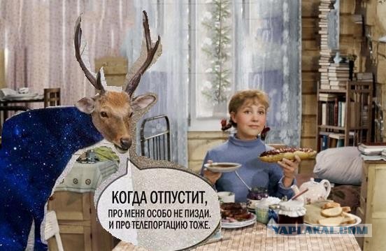 Что приснилось после празднования НГ