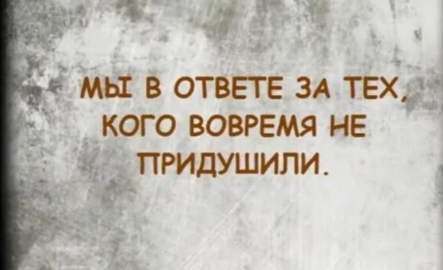 Так себе картинки 19.05.22