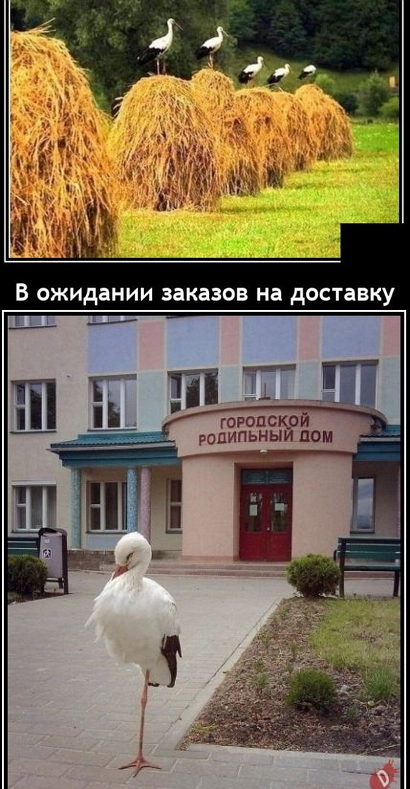 Пятница. Вечер. Картинки всякие #11
