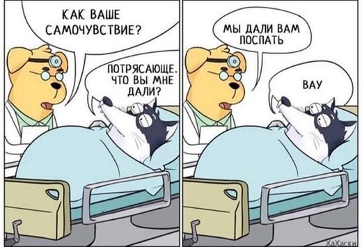 Картинки и мемы для настроения - 31