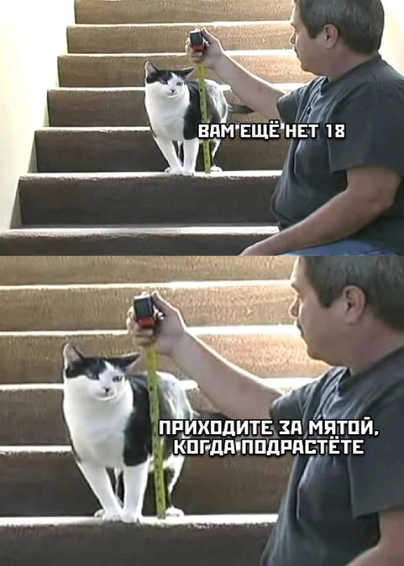 Картинки и мемы. Выходные близко...