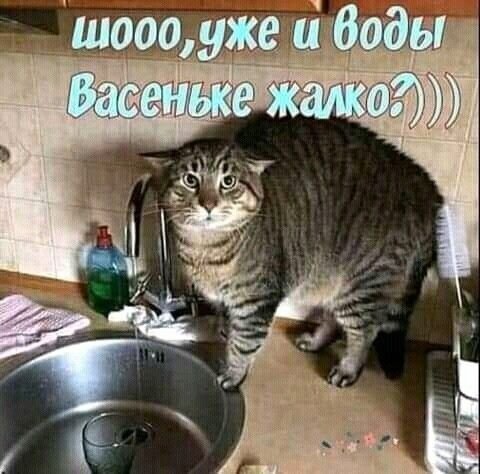 Прикольные и просто красивые картинки 25.11.2022