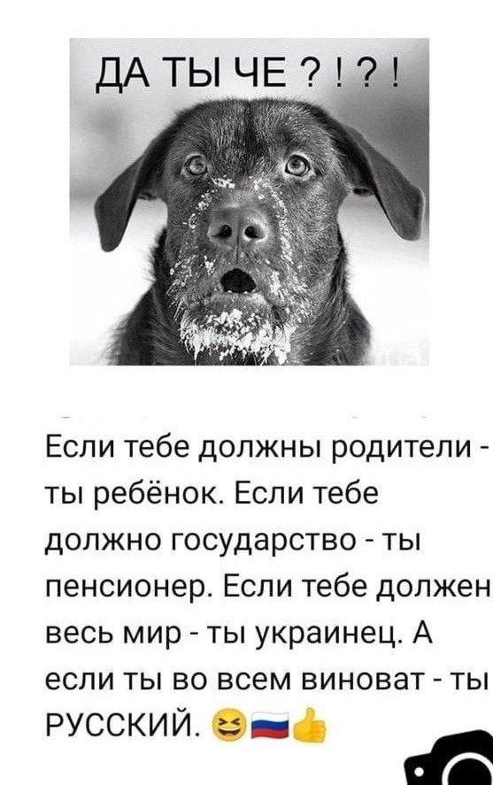 Так себе картинки 25.12.22