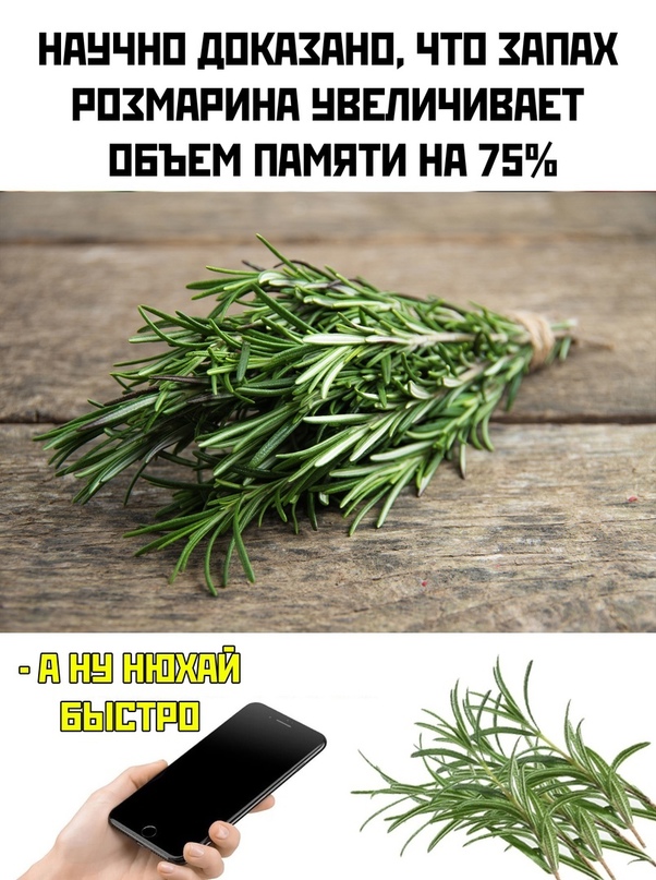 Картинки и мемы, всяко разно - 183