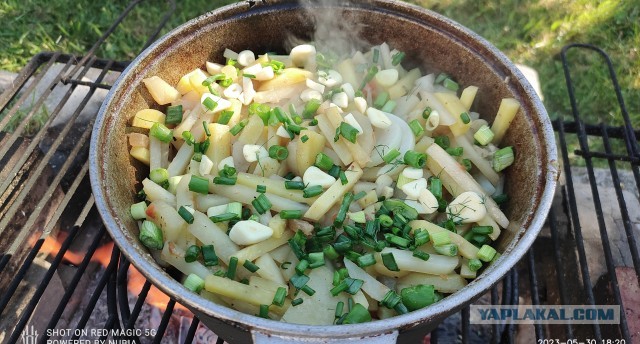Картошечка с курочкой