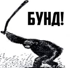 В Херсон начала прибывать вода и на улицы города вышли бобры.