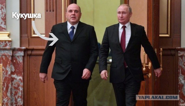 Мишустин на встрече с Путиным сообщил: