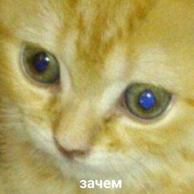 Кто здесь?